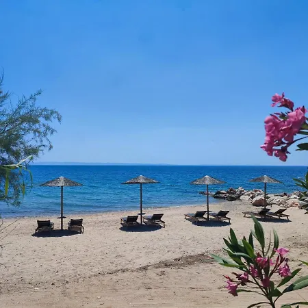 Mina's House Beachfront * Νικήτη