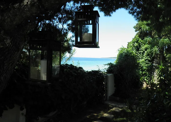Mina's House