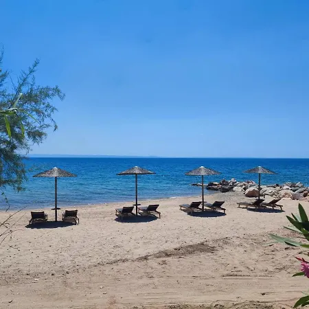 Mina's House Beachfront * Nikiti (Sithonia)